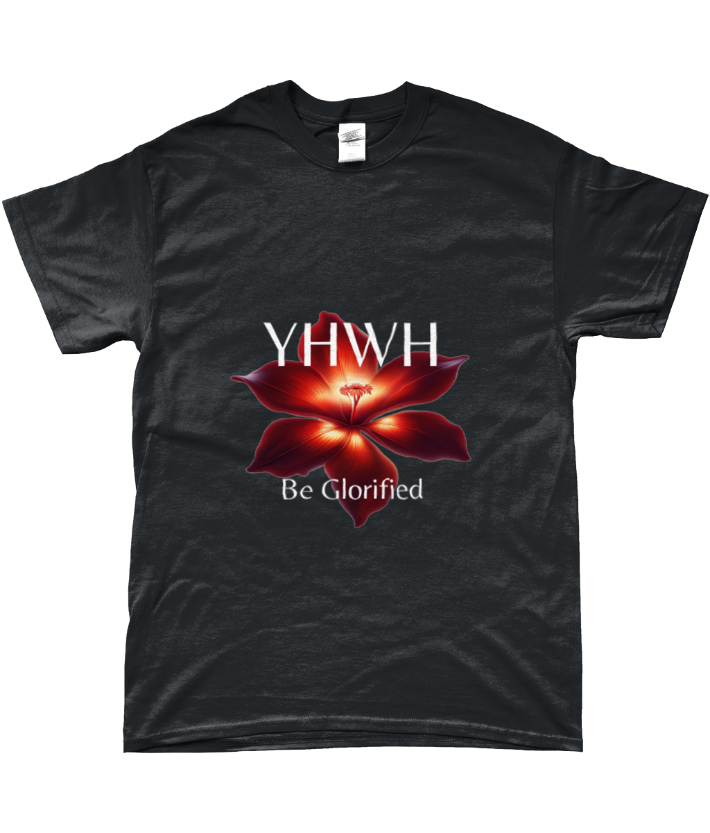 YHWH 1 Corinthians 10 : 31 T-Shirt